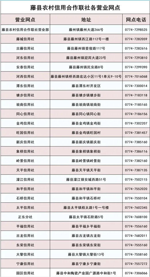 2025年藤縣農(nóng)信社寒假社會實踐招募公告