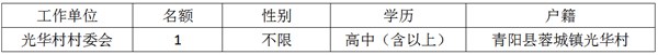 選聘計(jì)劃表